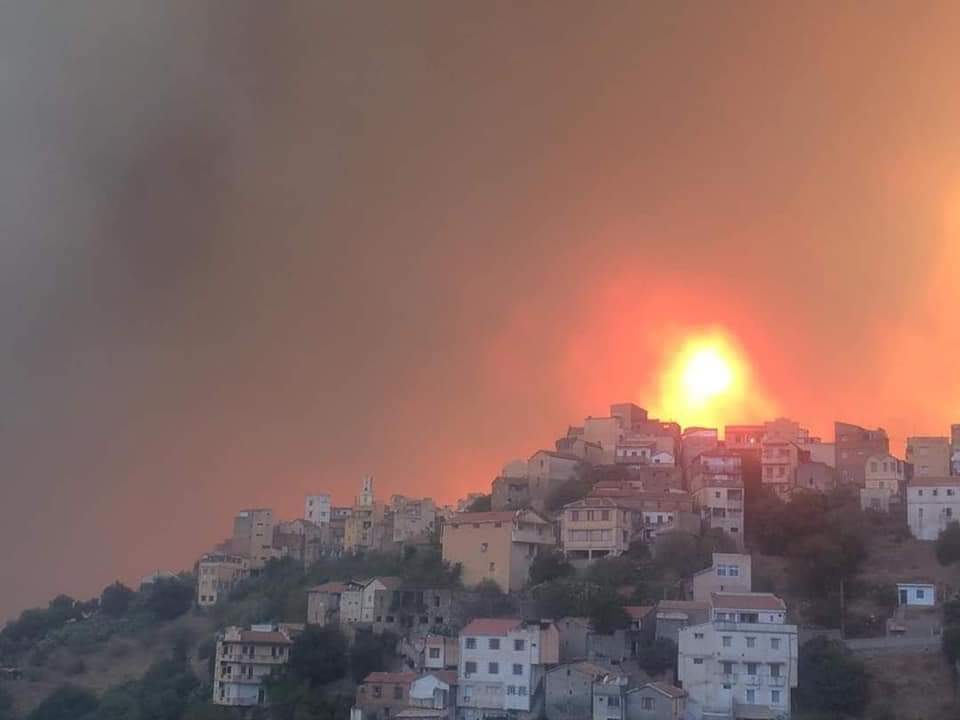 Tizi Ouzou : au moins 04 morts des suites de nombreux départs de feux de forêts (Vidéo)