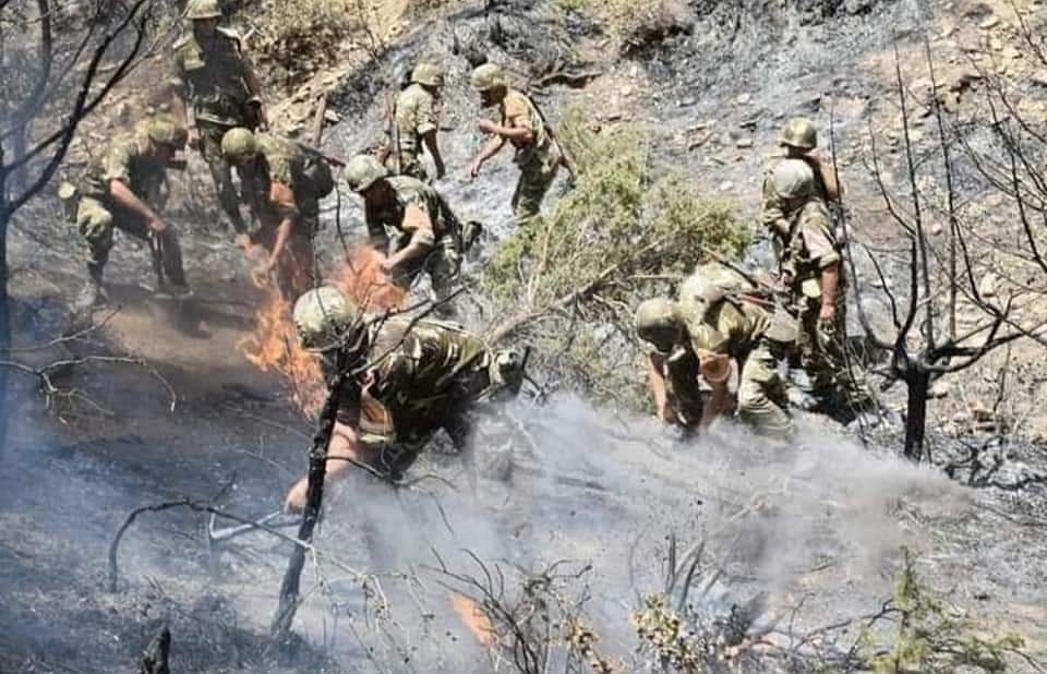 intervention des militaires dans l'extinction des incendies de forêts à Tizi Ouzou : 18 morts