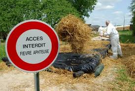 Fièvre aphteuse : Des barrages de sécurité pour empêcher sa propagation